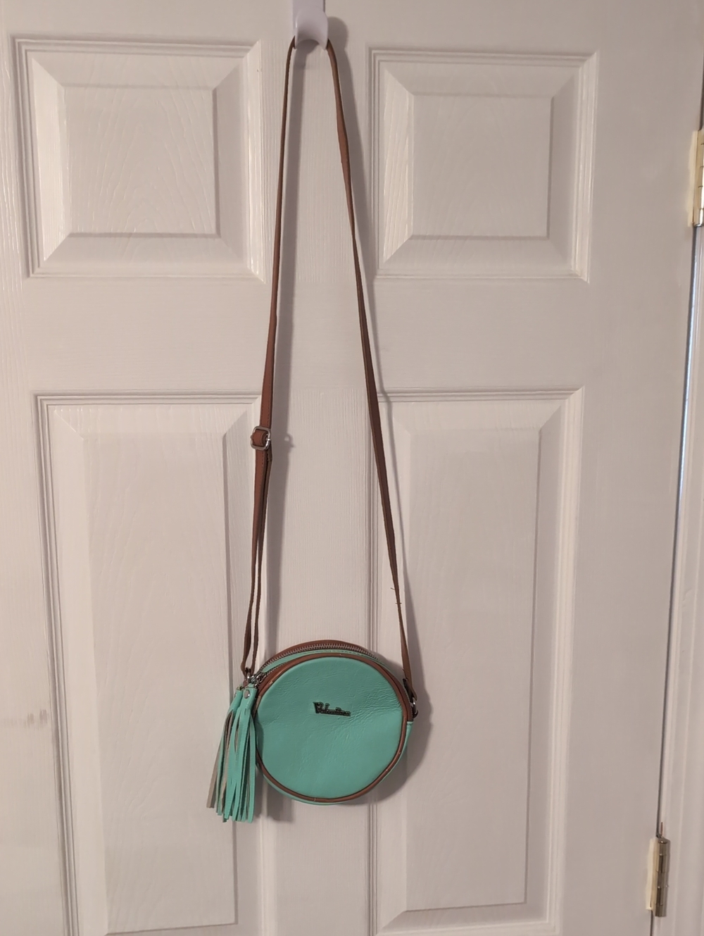 Valentina Italian Aqua Leather Round Crossbody Bag Tassel